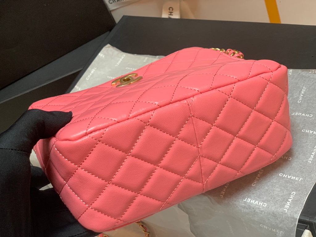 CHLHobo Handbag PiNike Bag For Women 16cm/6in