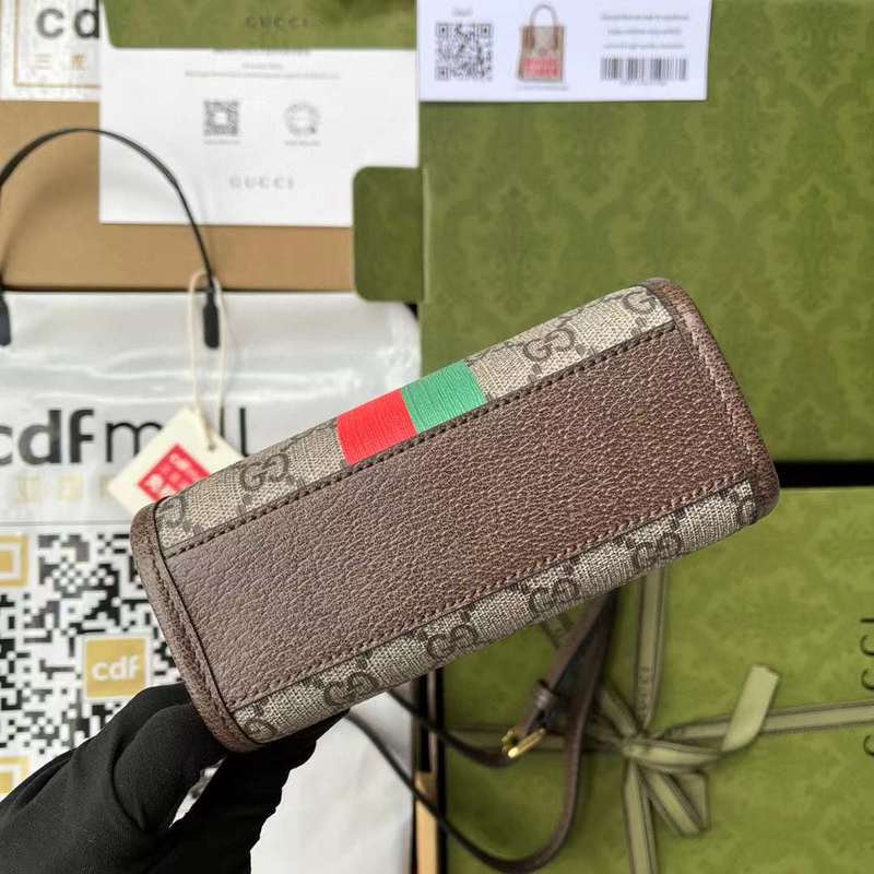 GUI2 Bags - Luxurious Bags  548