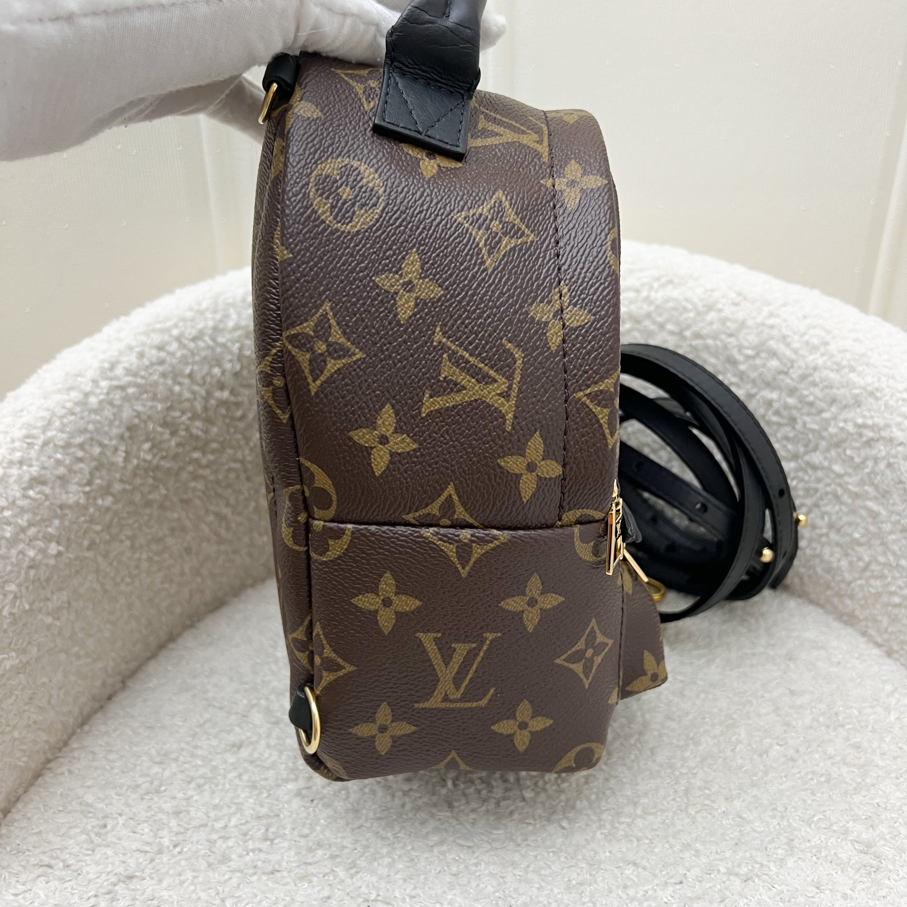 LV Palm Springs Mini Backpack in Monogram Canvas and GHW