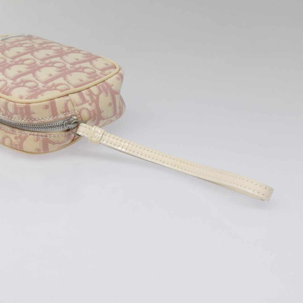 Dior Trotter  Canvas Clutch Bag ()