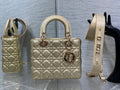 BLUSH BAGZ - Dior Bags - 186