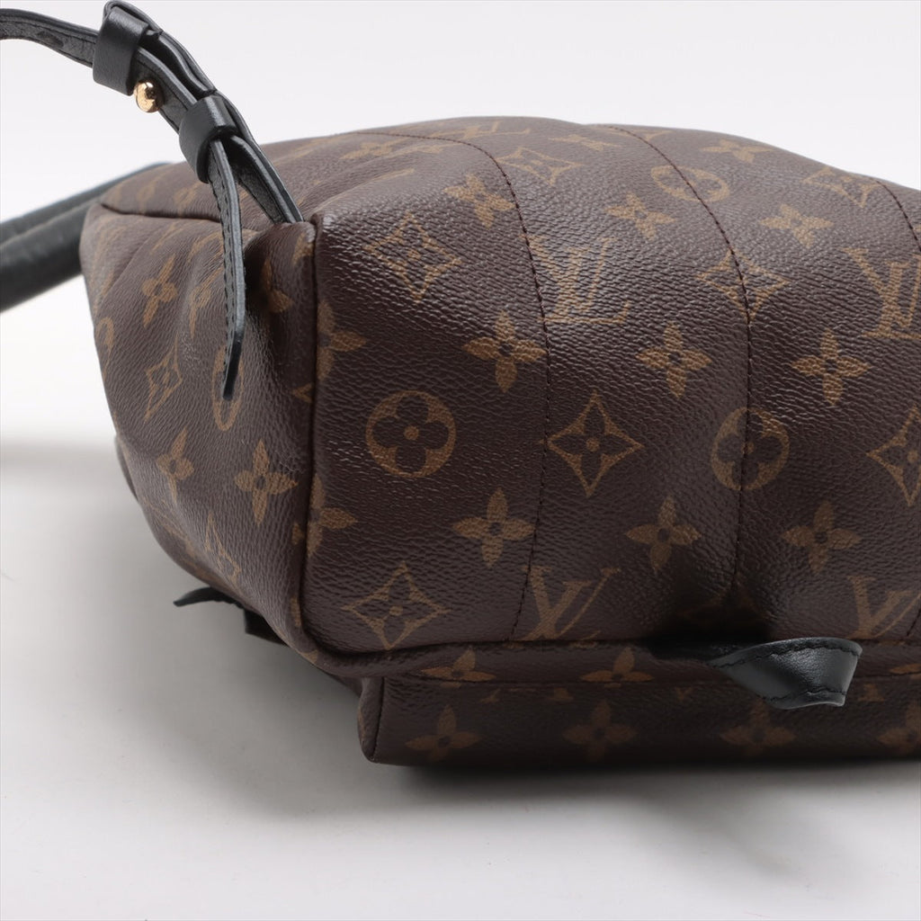 Louis Vuitton Monogram Palm Springs Backpack PM M41560