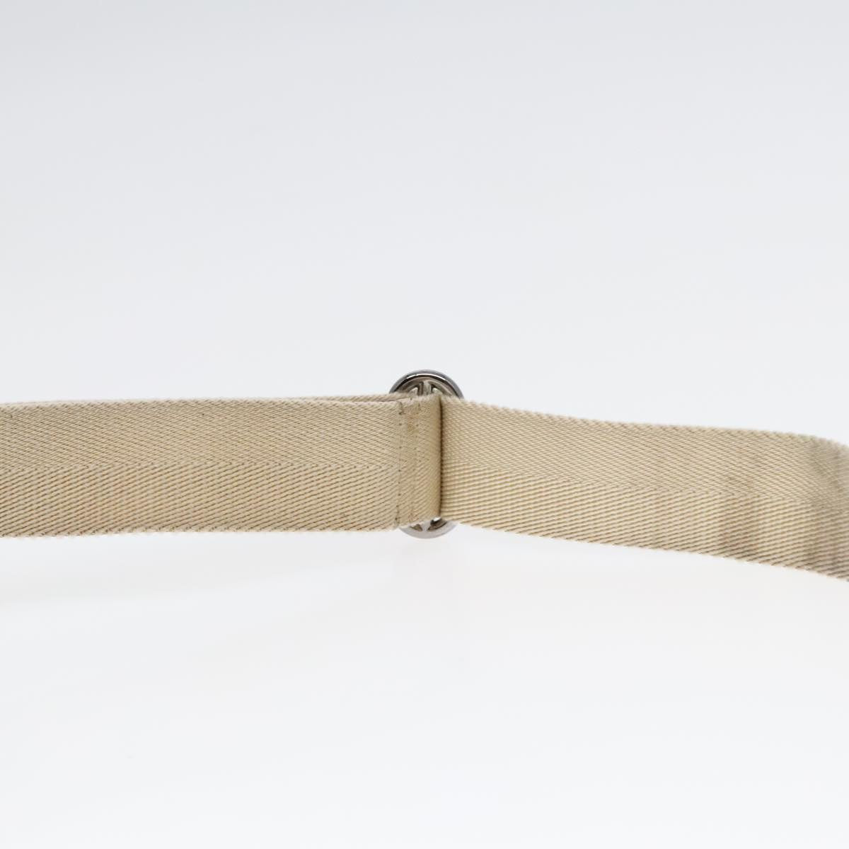 GUCCI GG Canvas Shoulder Bag Beige Silver 145852 90180