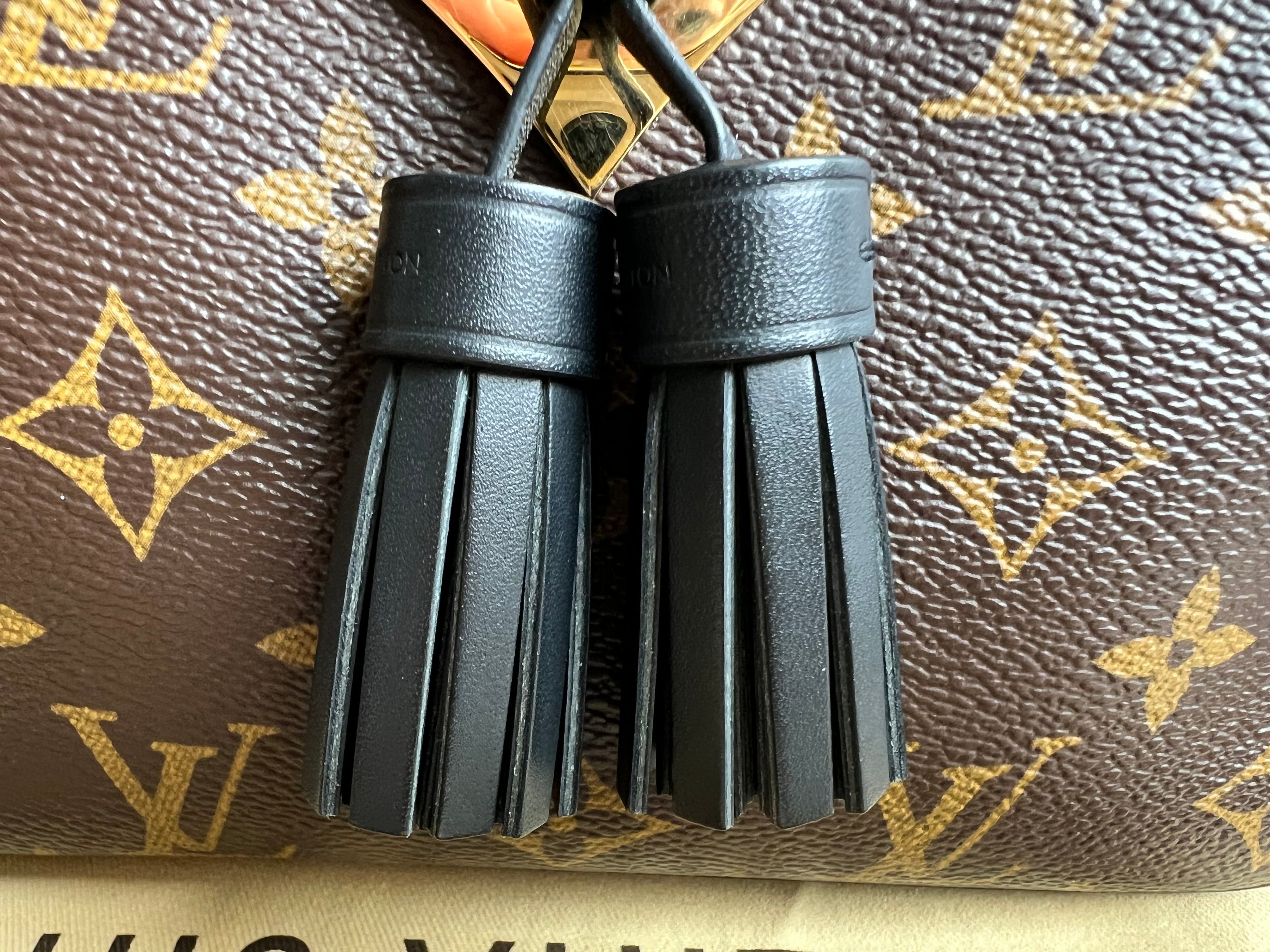 Louis Vuitton Saintonge Black and Monogram