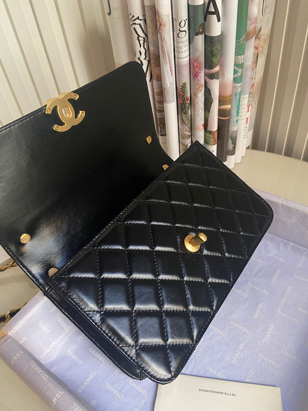 Satchel Bags - CLN Bags - 692
