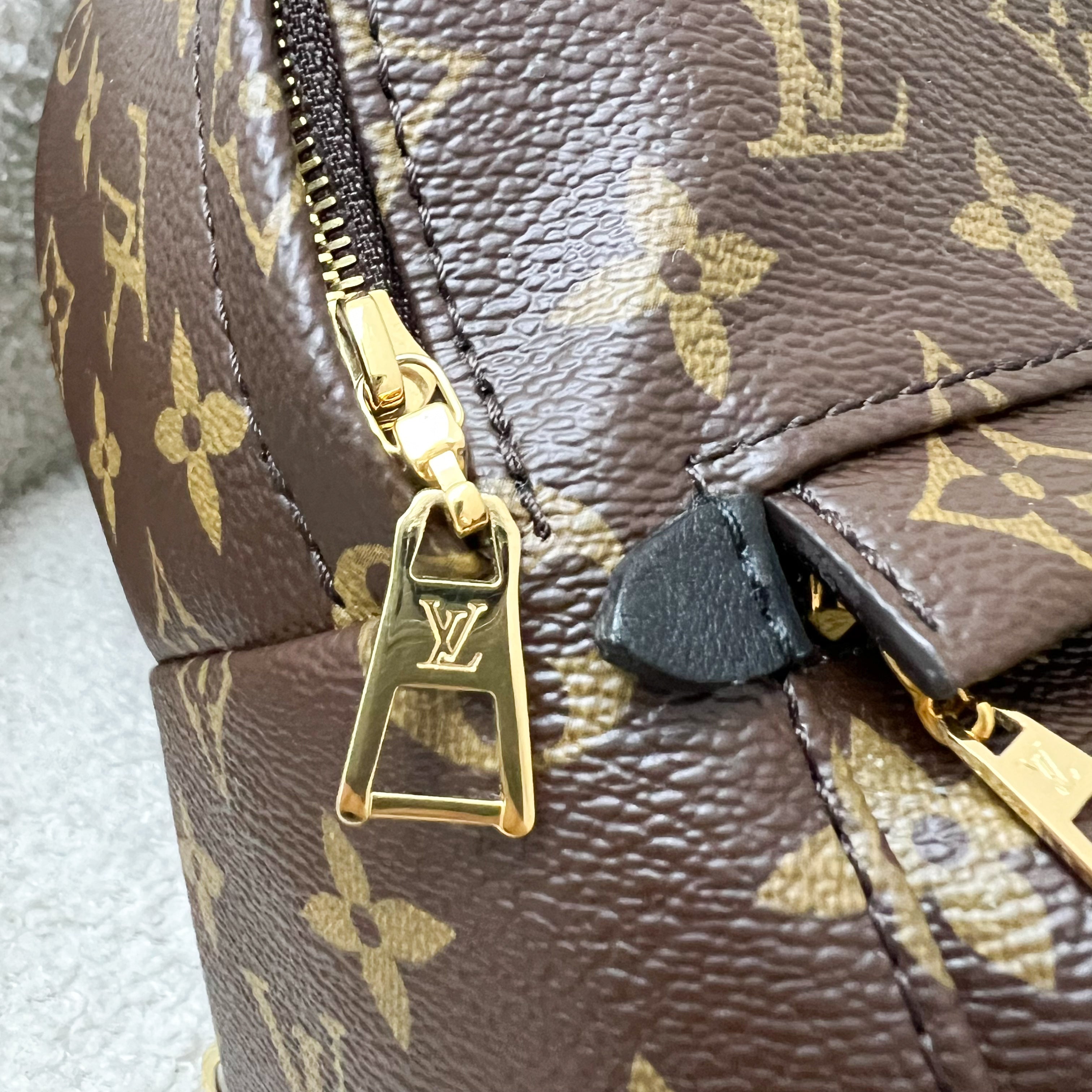 LV Palm Springs Mini Backpack in Monogram Canvas and GHW