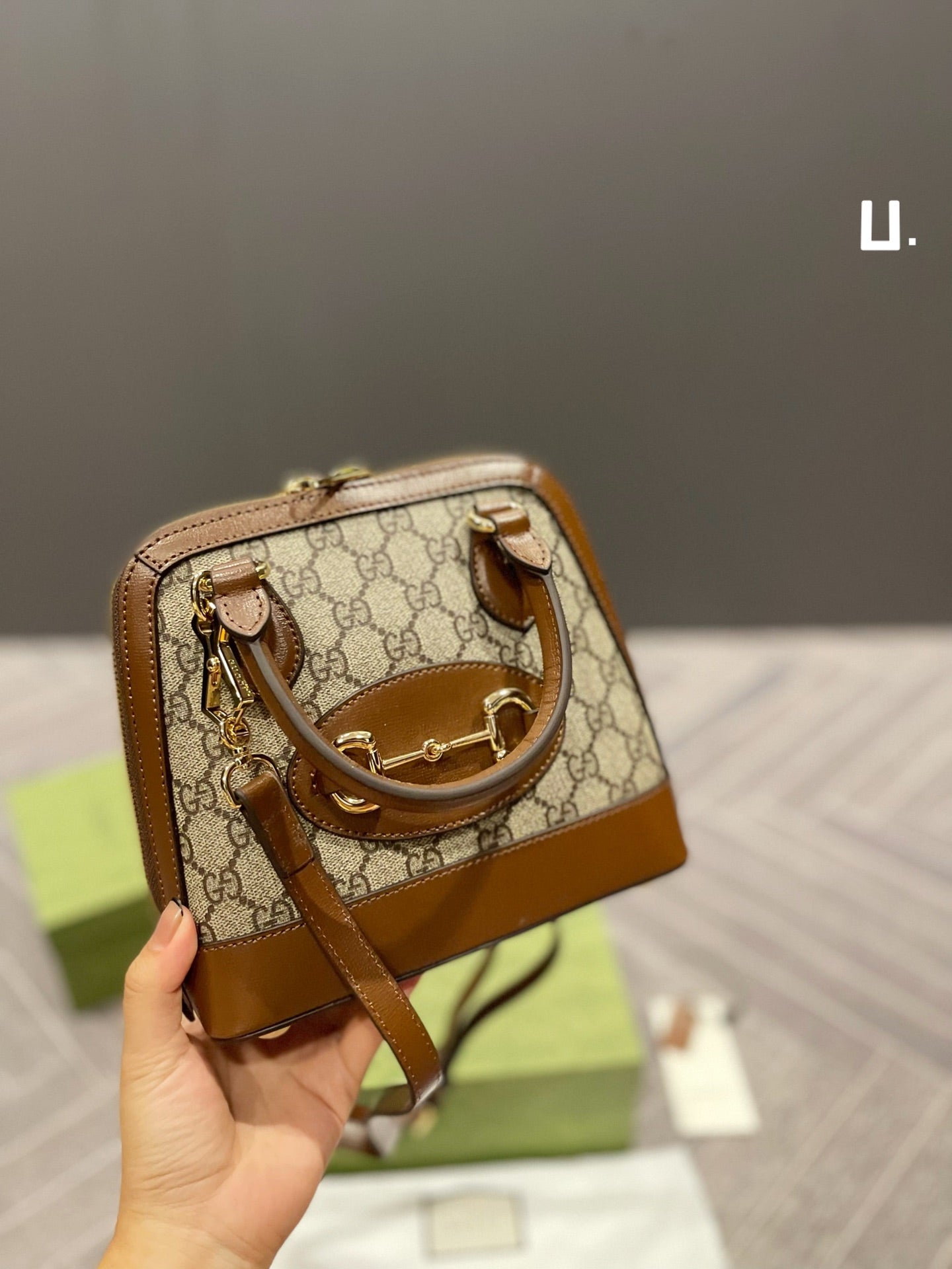 EN - New Lux Bags GCI 386