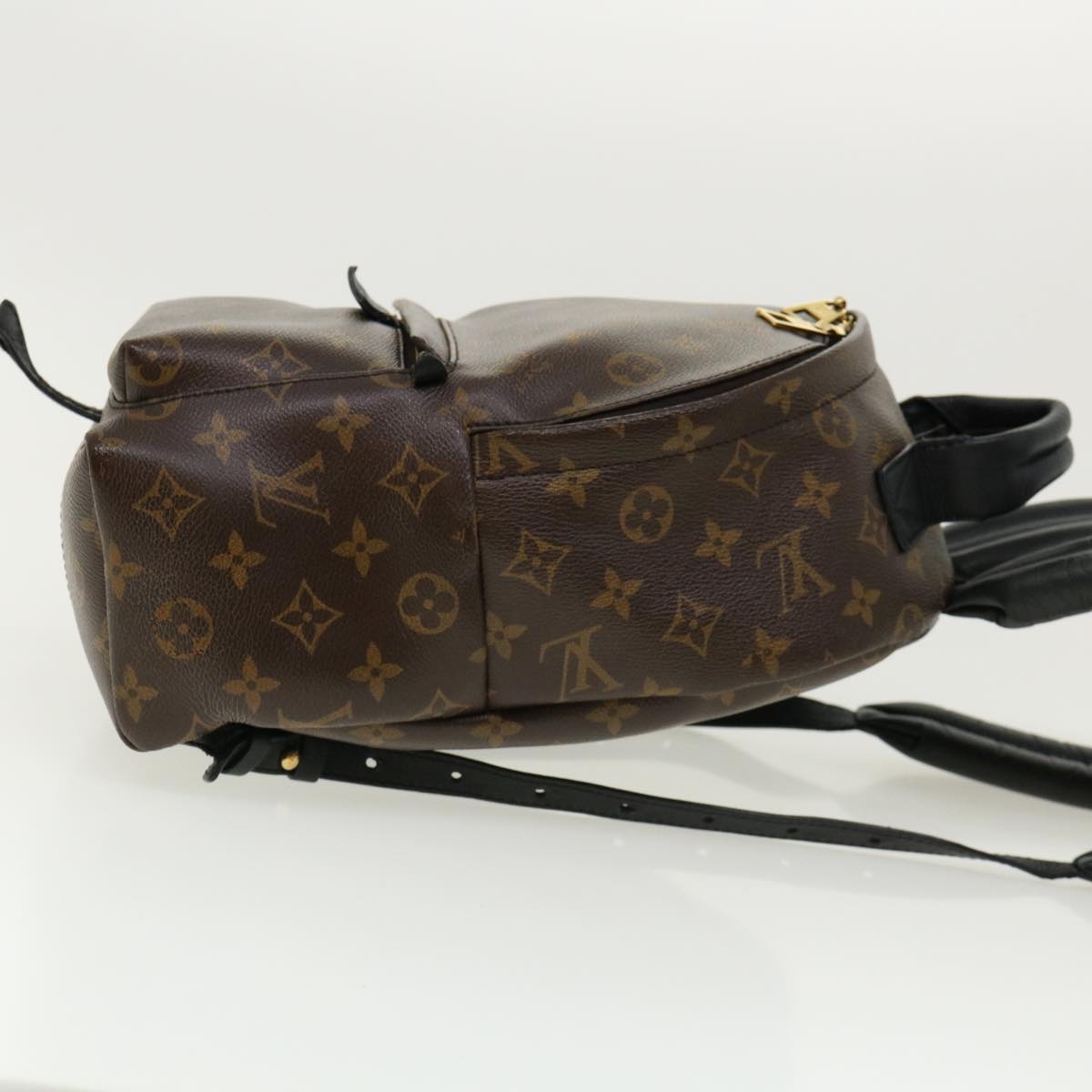 Louis Vuitton Monogram Palm Springs Pm Backpack