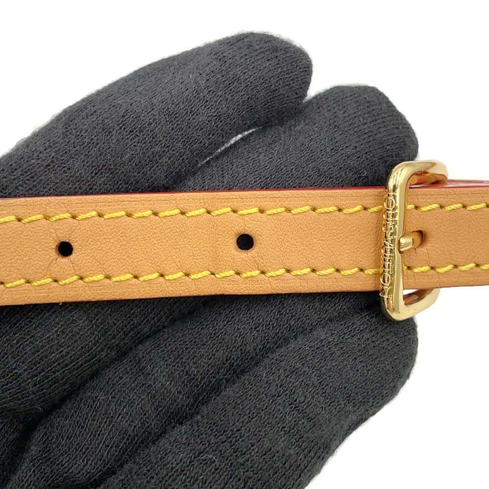 LOUIS VUITTON Nano Speedy Brown M81085 Monogram