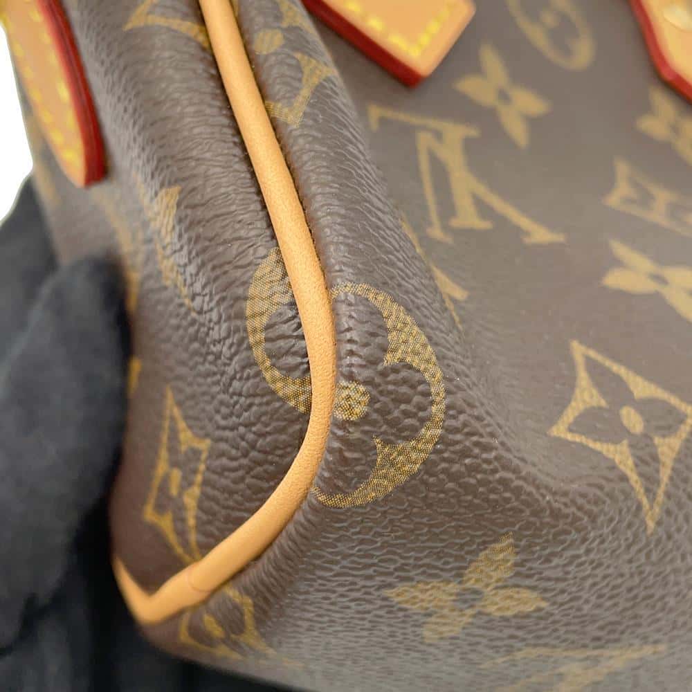 LOUIS VUITTON Nano Speedy Rose M82624 Monogram Vivienne Size Nano