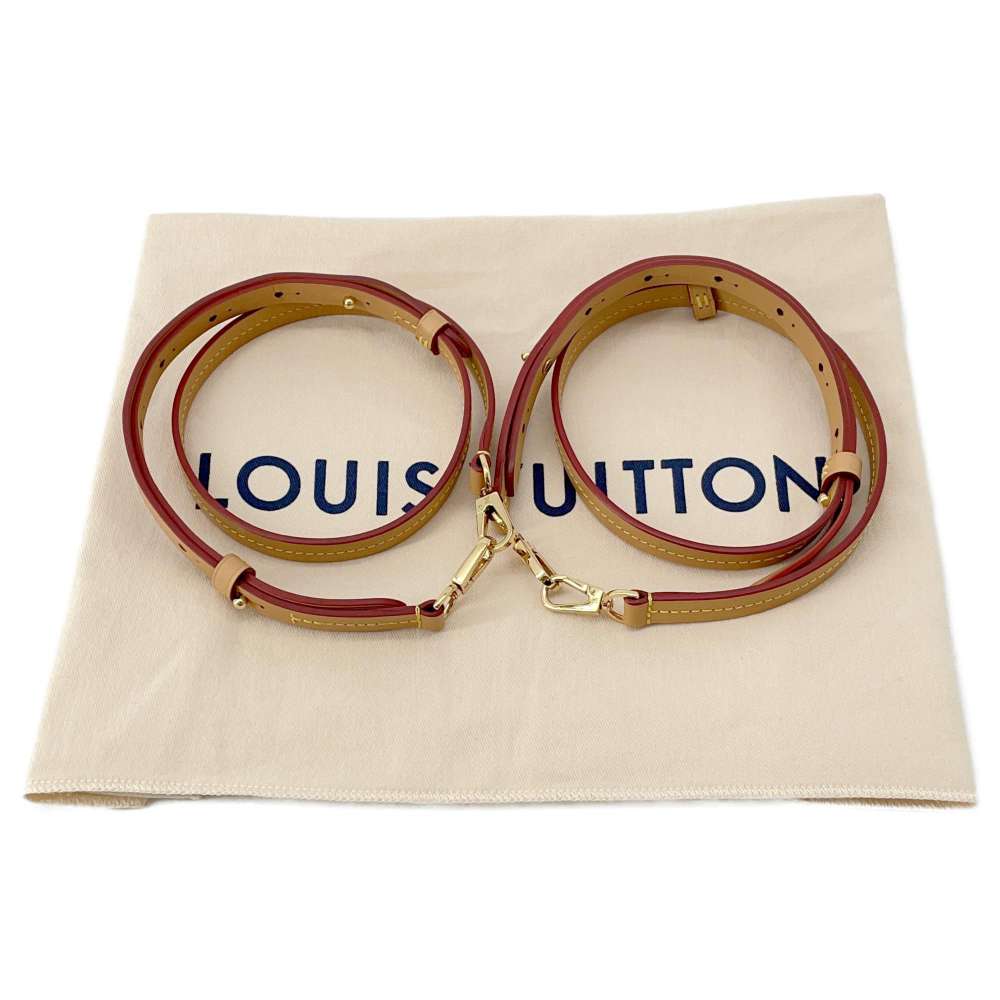 LOUIS VUITTON Montsouris NM Brown M45502 Monogram Size BB