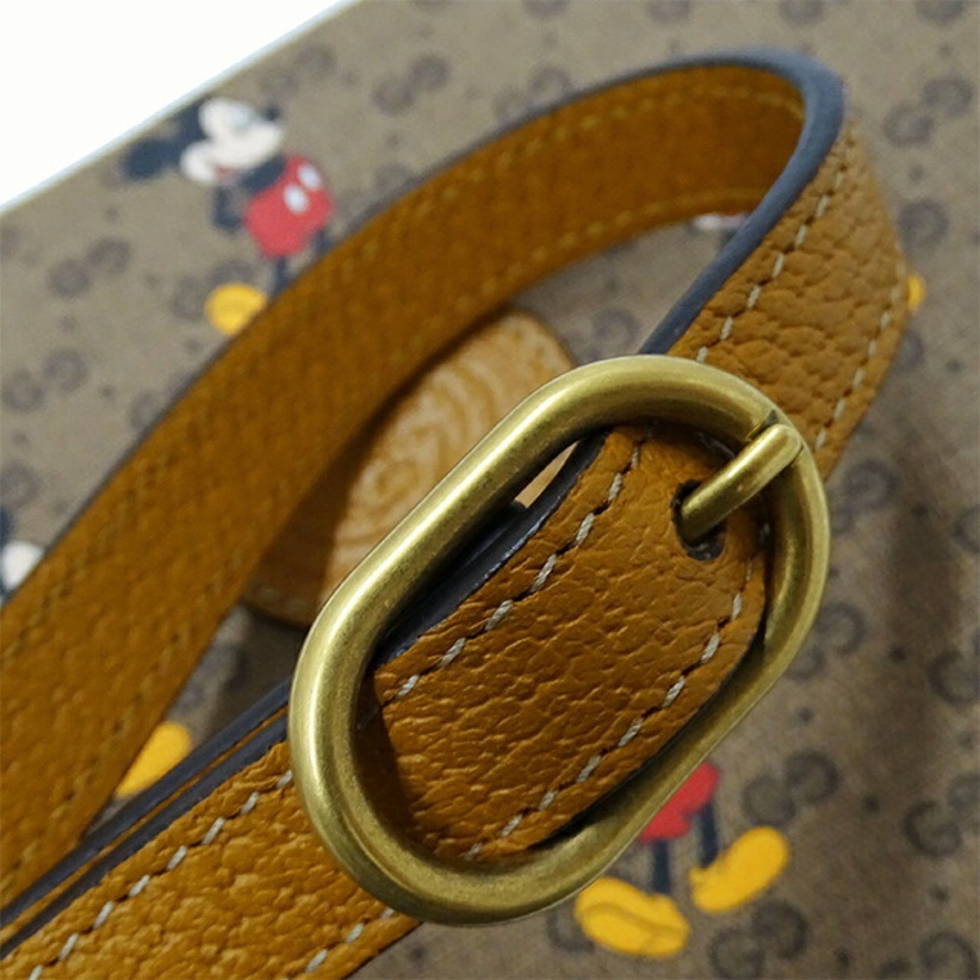 Gucci Disney X Gucci
