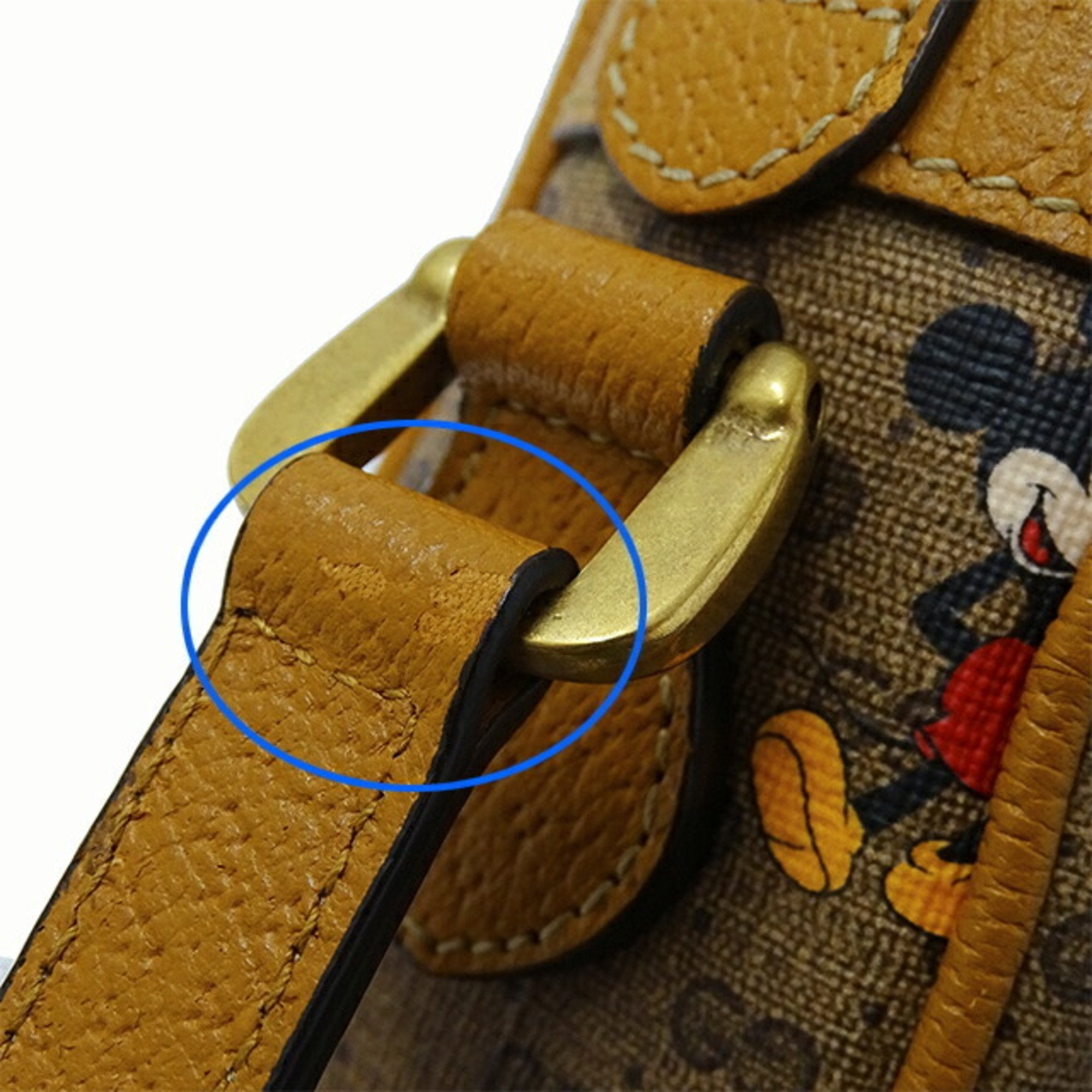 Gucci Disney X Gucci