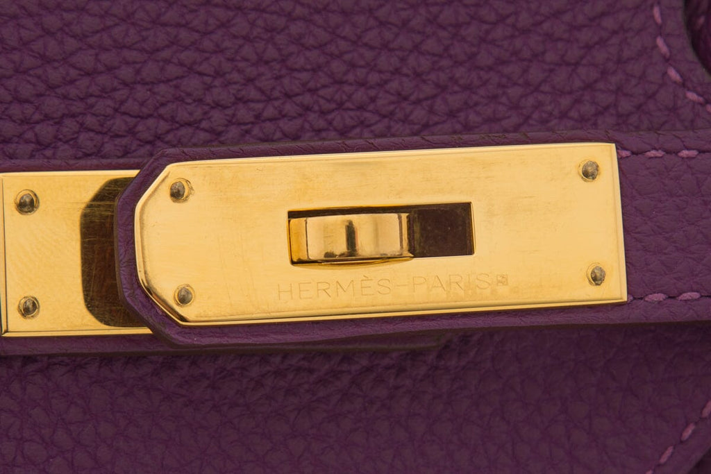 HermÃƒÆ’Ã‚Â¨s 2012 Anemone 35cm Togo Birkin Handbag W/ Gold HW