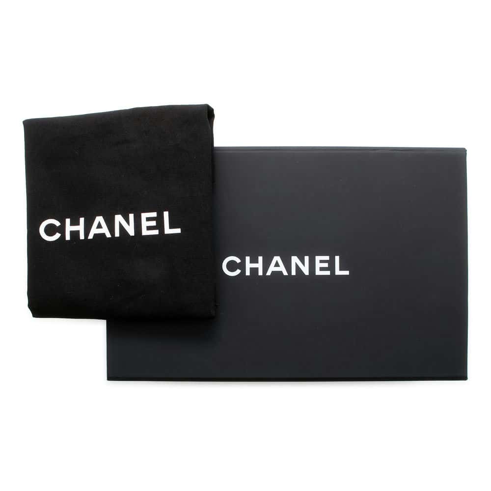 CHANEL 2024 Cruise Collection Mini Flap Bag Black/White/BeigeAS4556 Blade Raffia Lambskin Size Mini