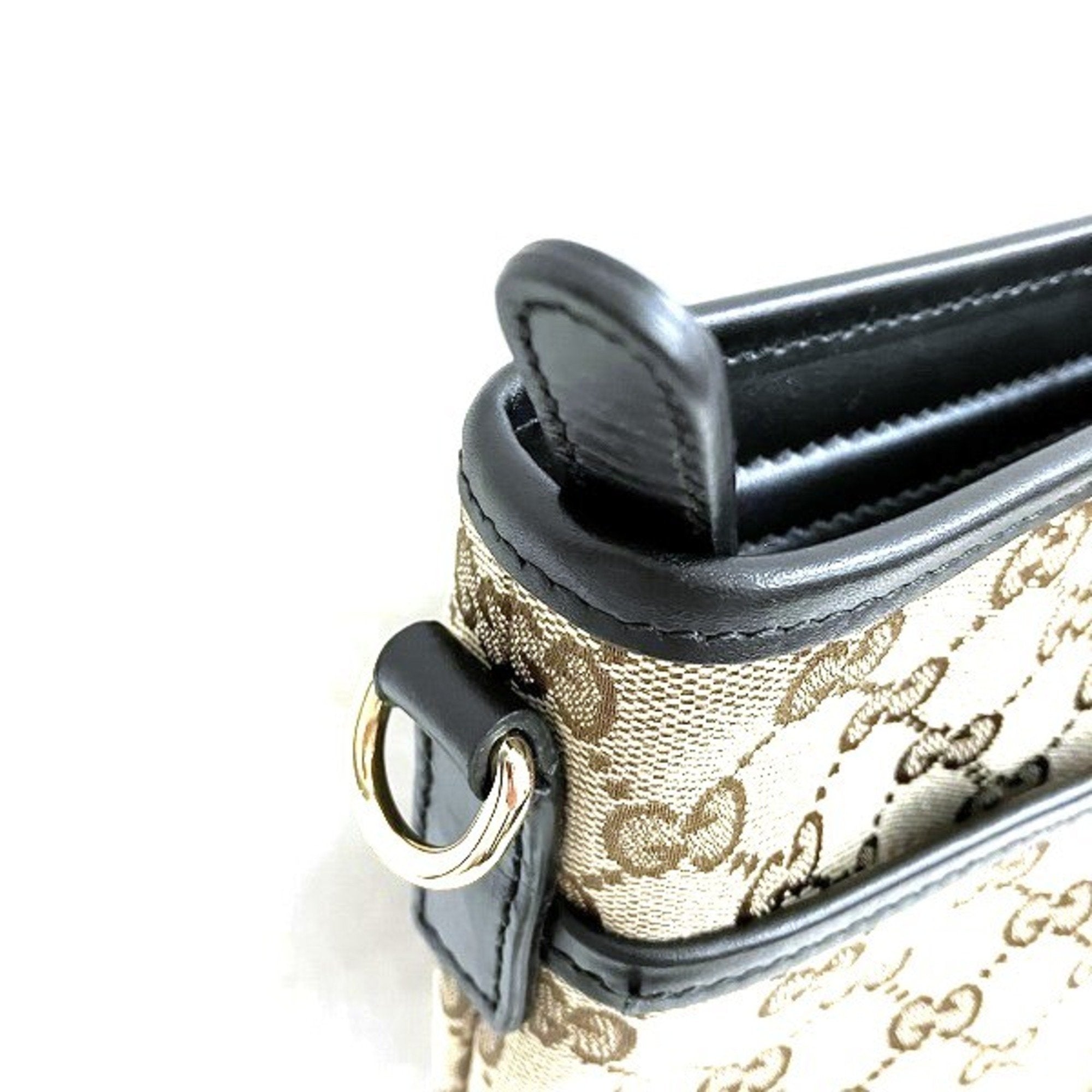 Gucci GG canvas