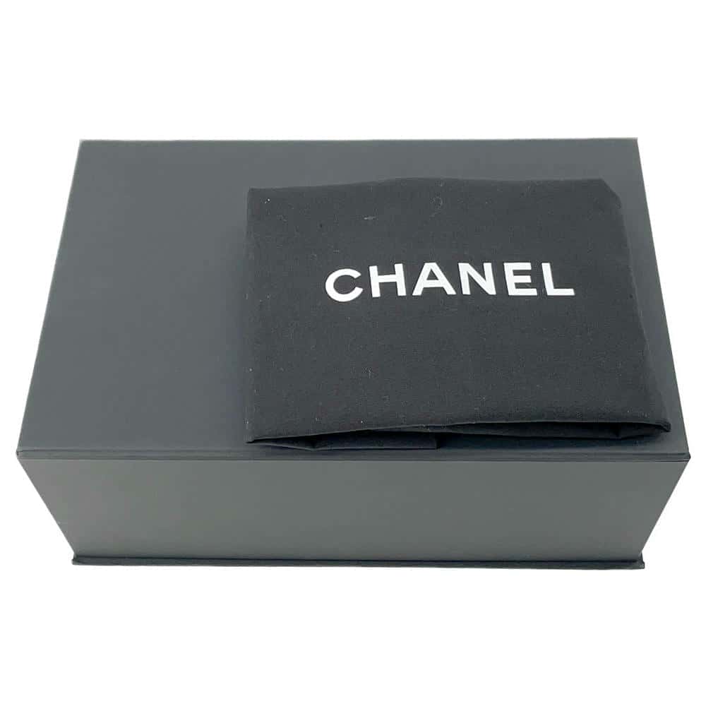 CHANEL 2024 Cruise Collection Flap Bag Black/White/BeigeAS4556 Blade Raffia Lambskin Size Mini