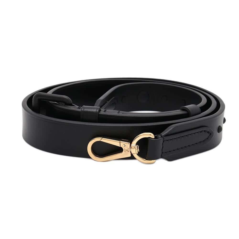LOUIS VUITTON Arty Capucines Collection Peter Marino Noir M21414 Taurillon Size MM