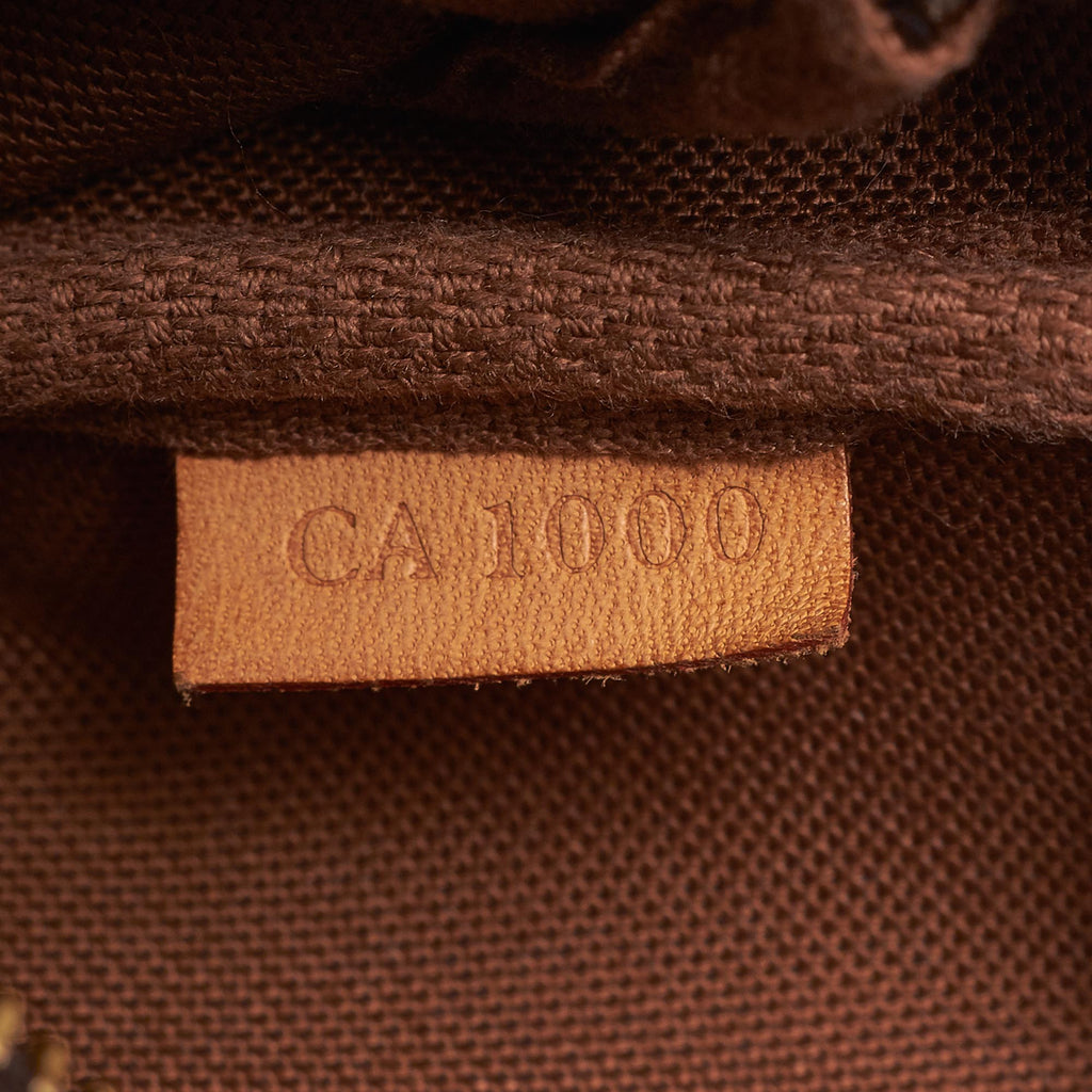 Louis Vuitto Pochette Accessoires Monogram Canvas Bag