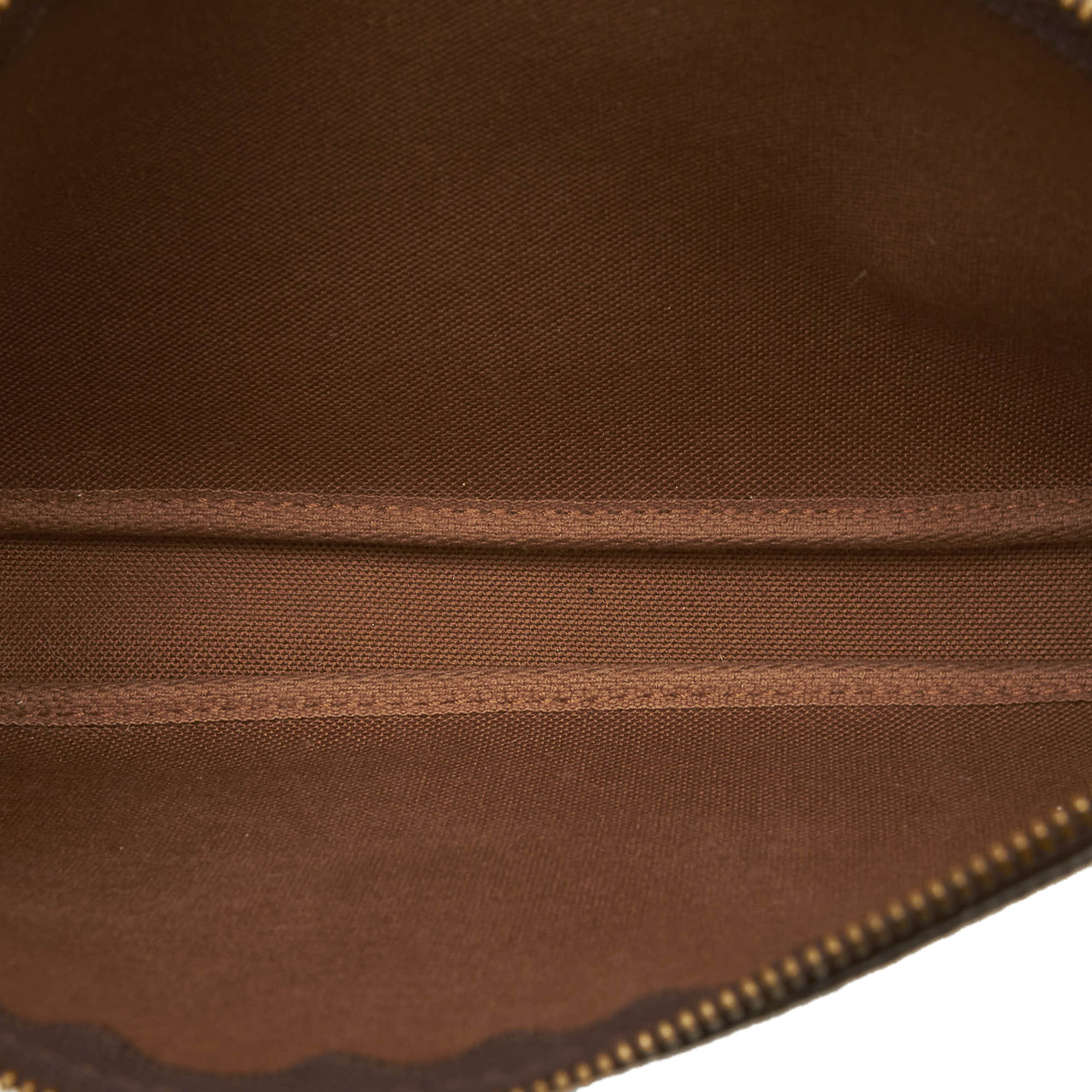 Louis Vuitto Pochette Accessoires Monogram Canvas Bag