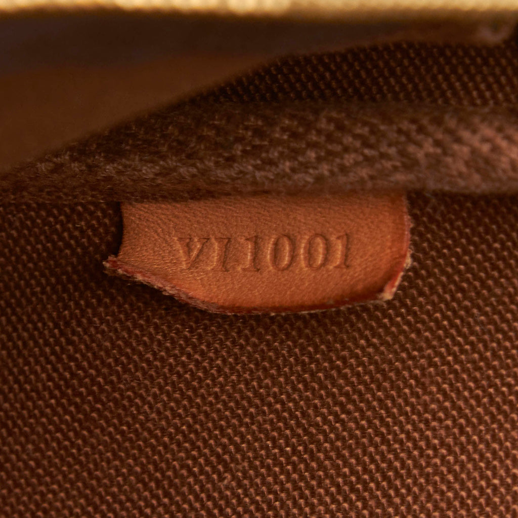 Louis Vuitto Pochette Accessoires Monogram Canvas Bag