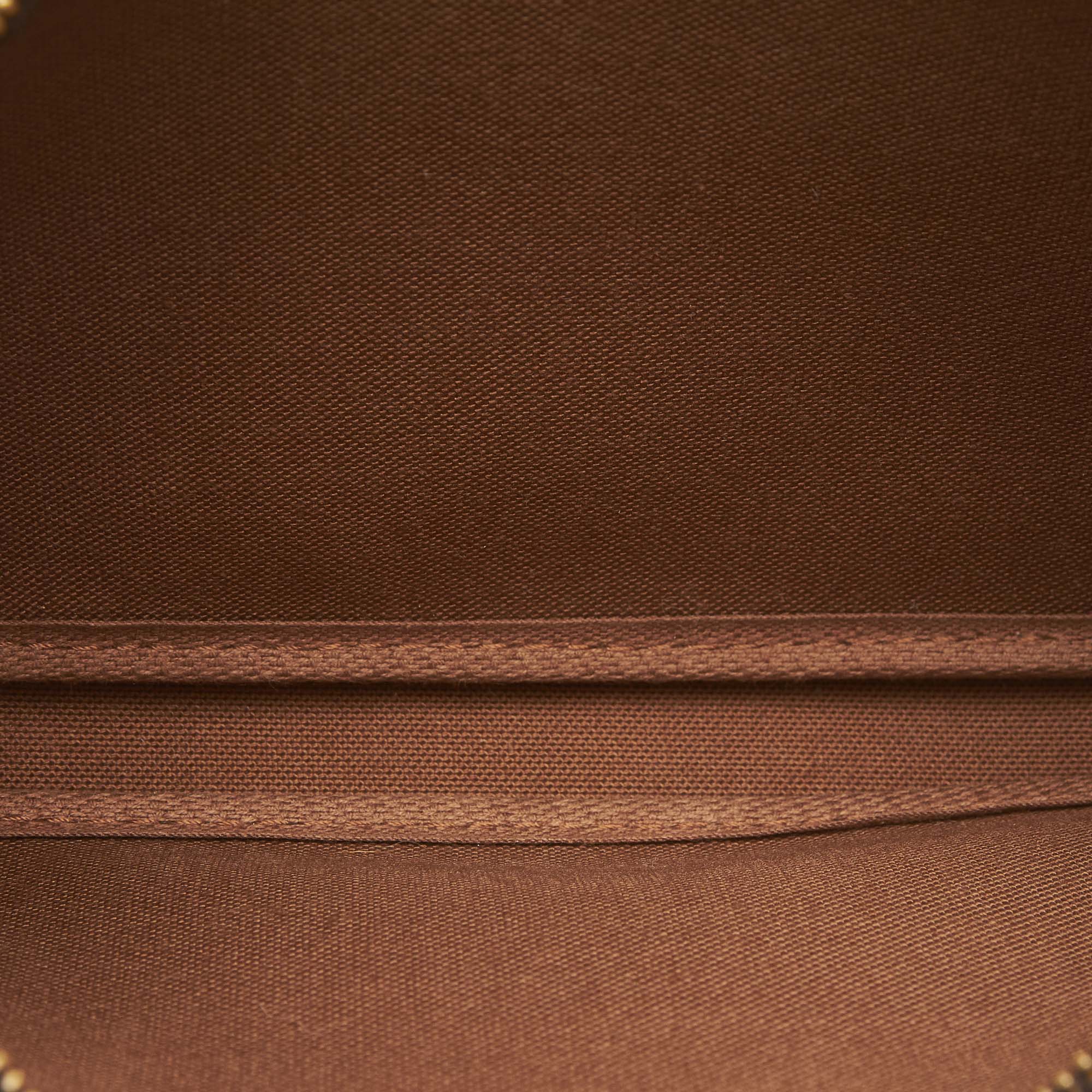 Louis Vuitto Pochette Accessoires Monogram Canvas Bag