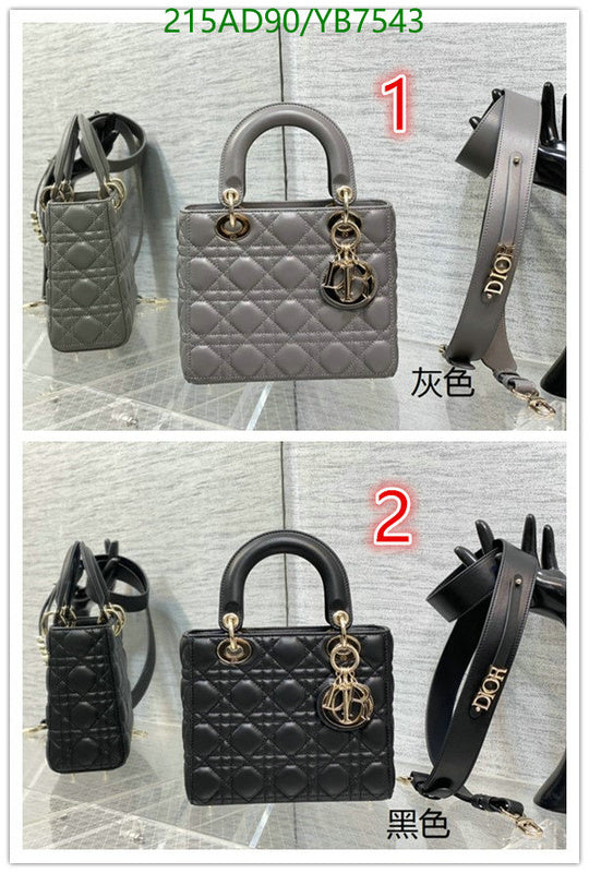 SAMCC - DOR Bags - 1427