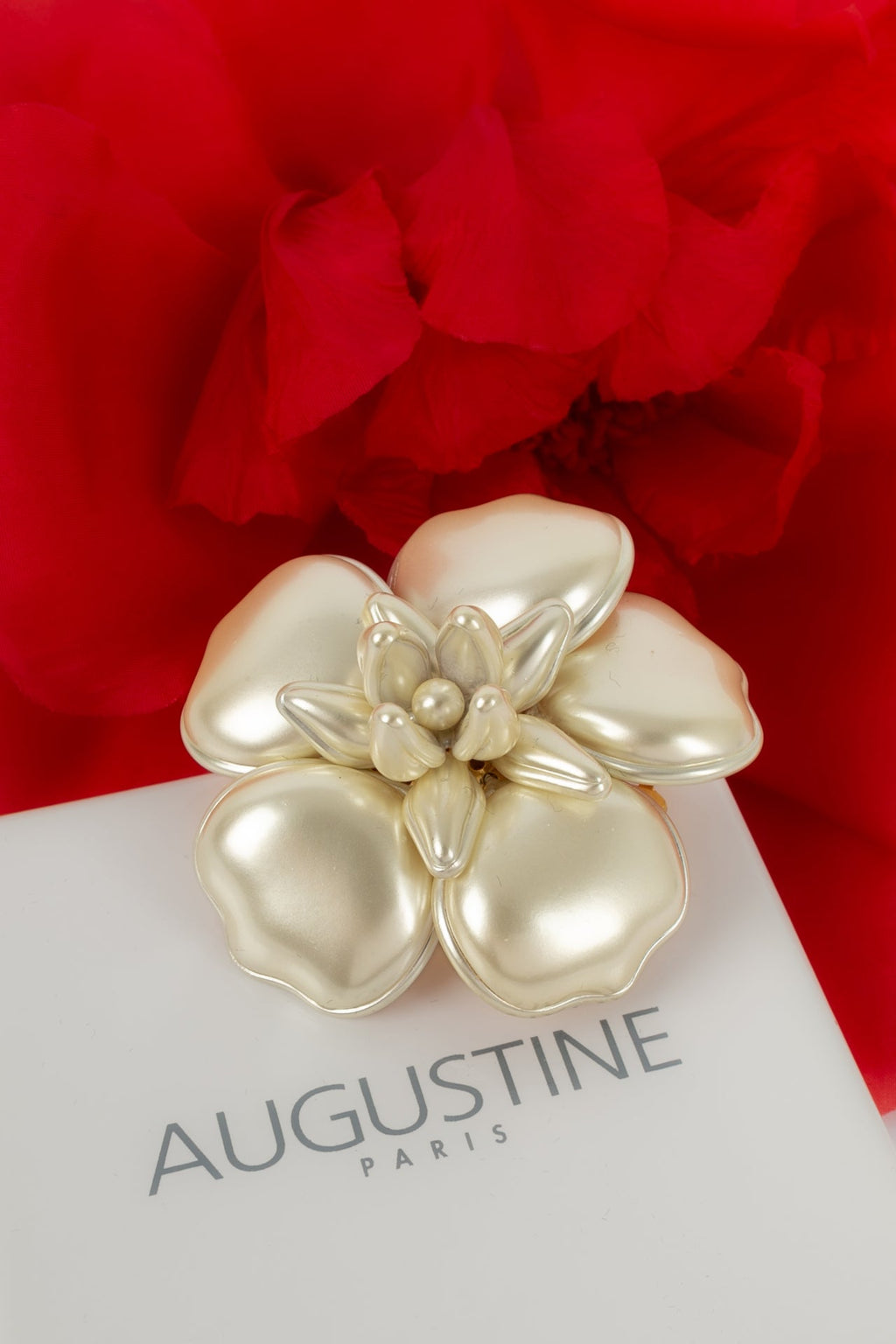 Broche Augustine