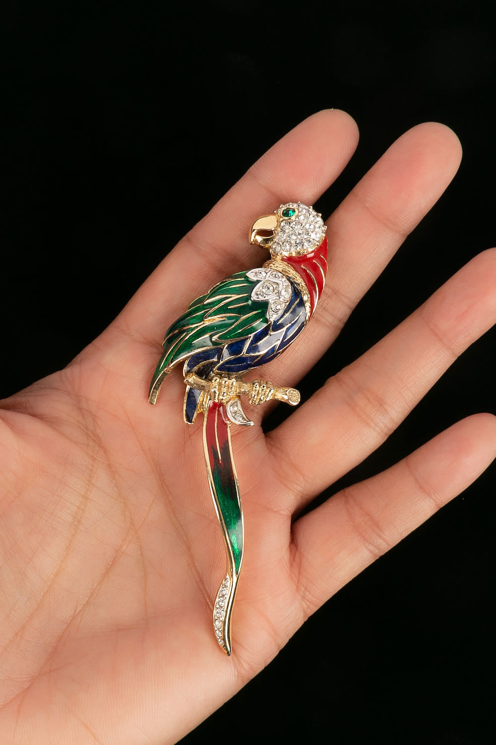 Broche "perroquet"