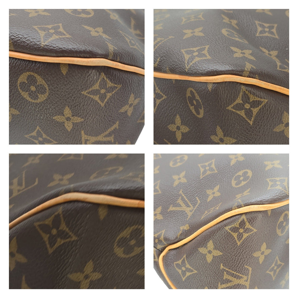 Louis Vuitton Monogram Delightful Hobo PM