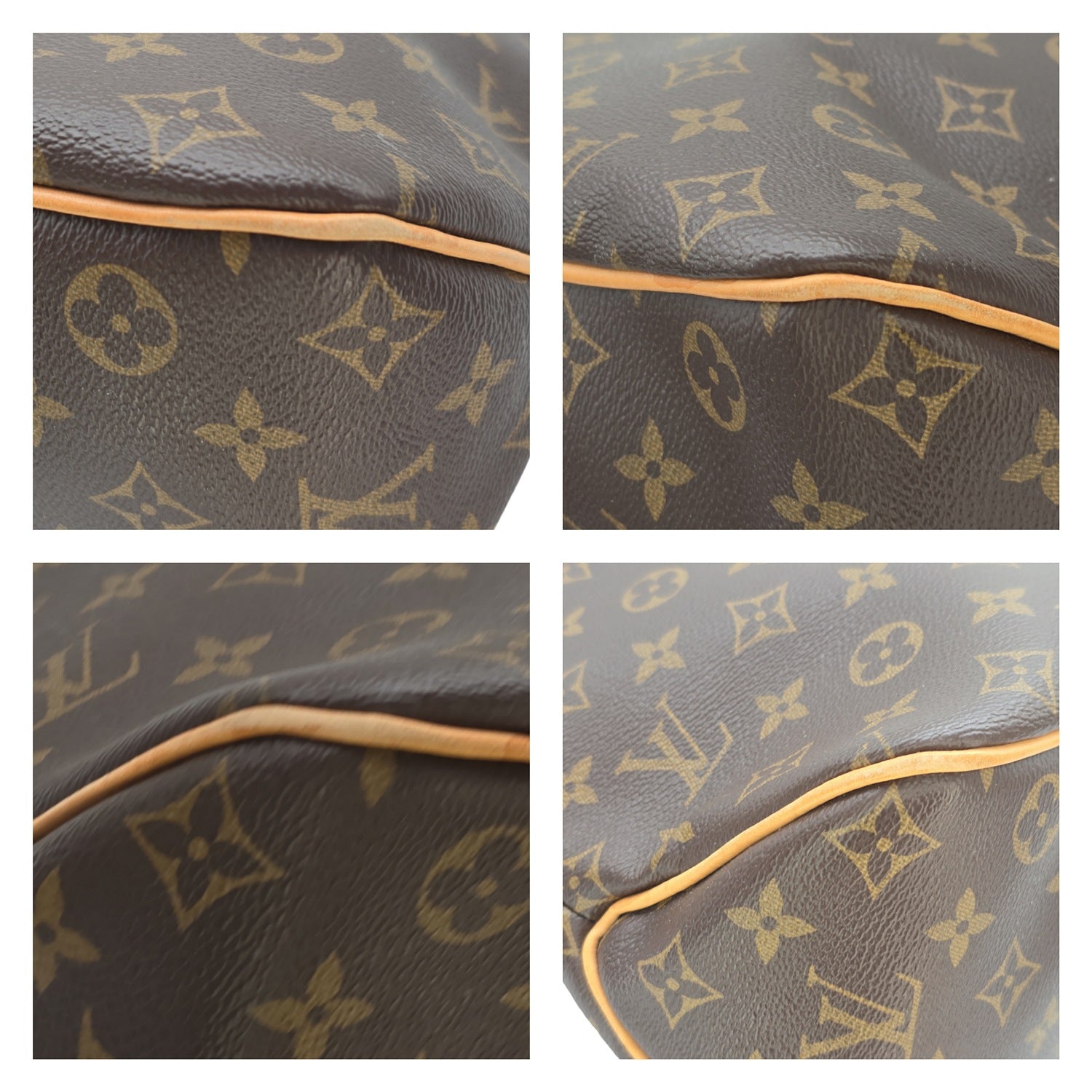 Louis Vuitton Monogram Delightful Hobo PM