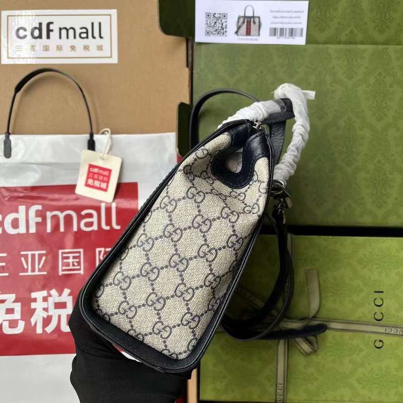 GUI2 Bags - Luxurious Bags  485