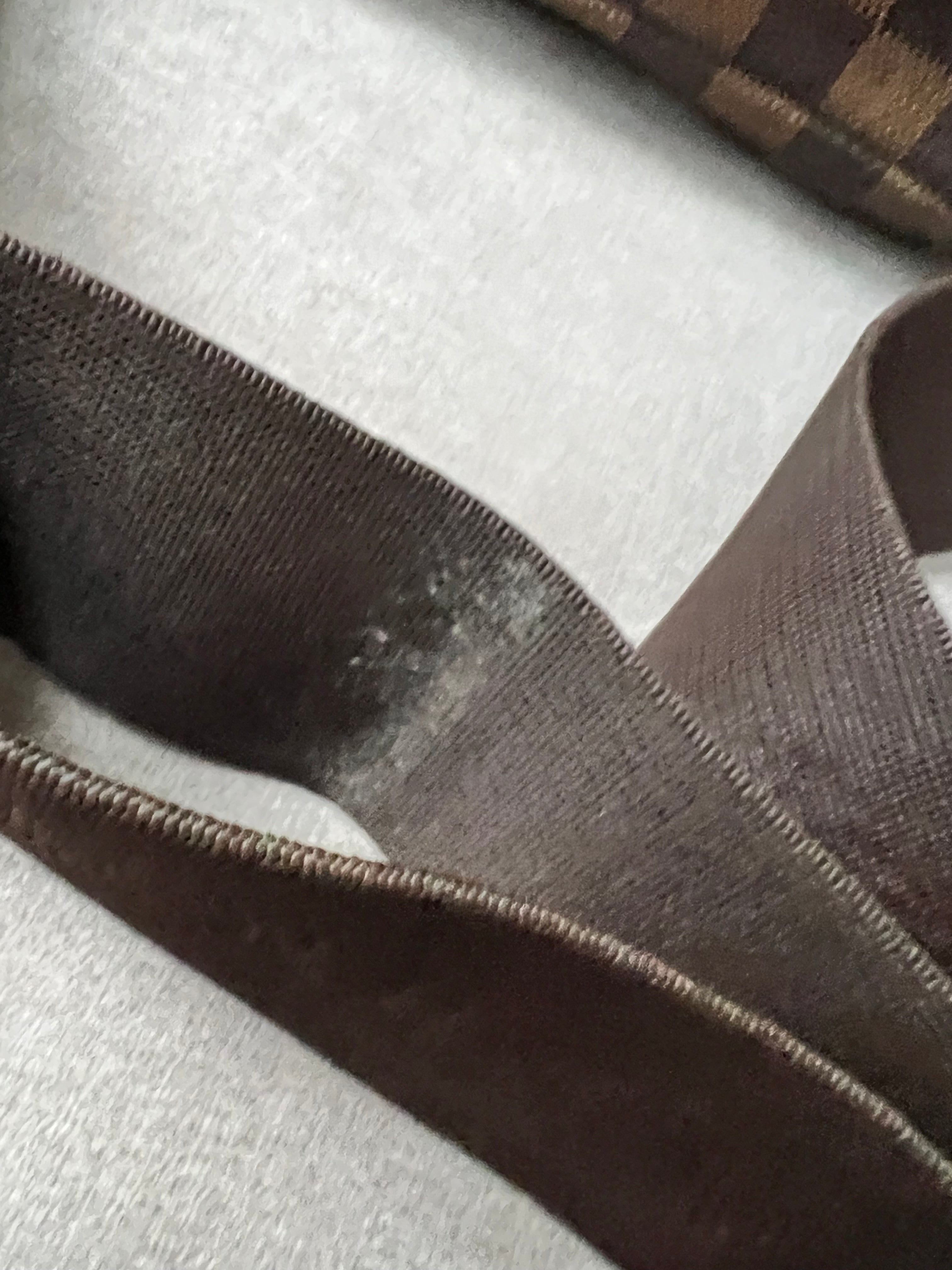 Louis Vuitton Olav PM Damier Ebene
