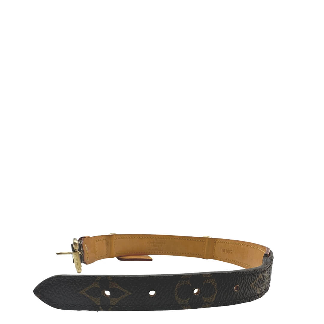 Guinzaglio e collare Louis Vuitton