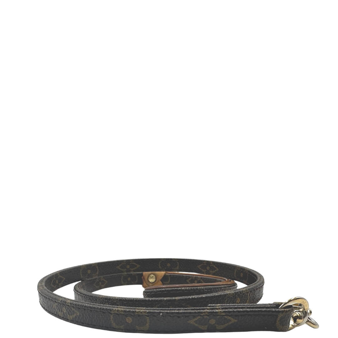 Guinzaglio e collare Louis Vuitton