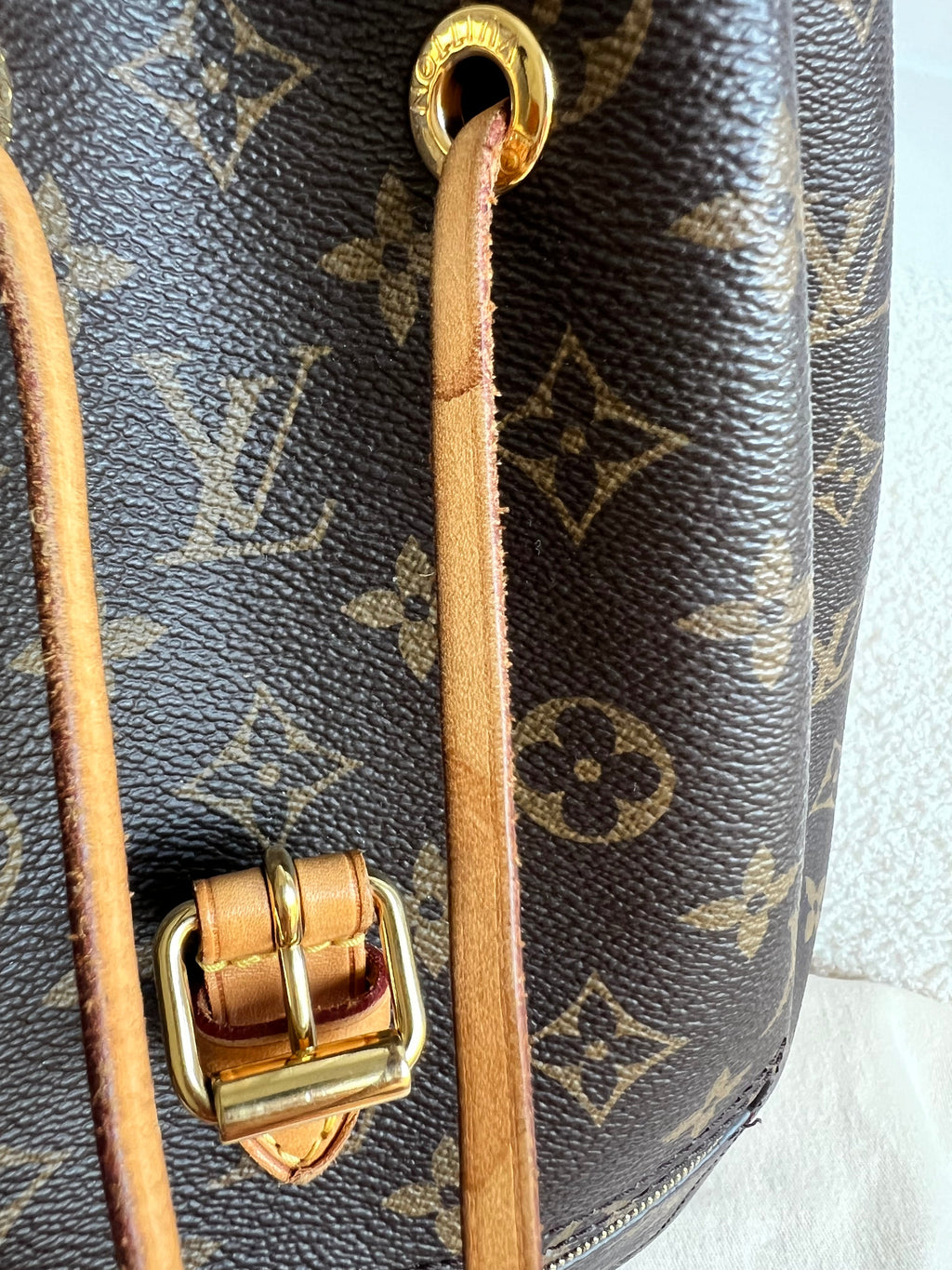 Louis Vuitton Montsouris PM Backpack (£1980)