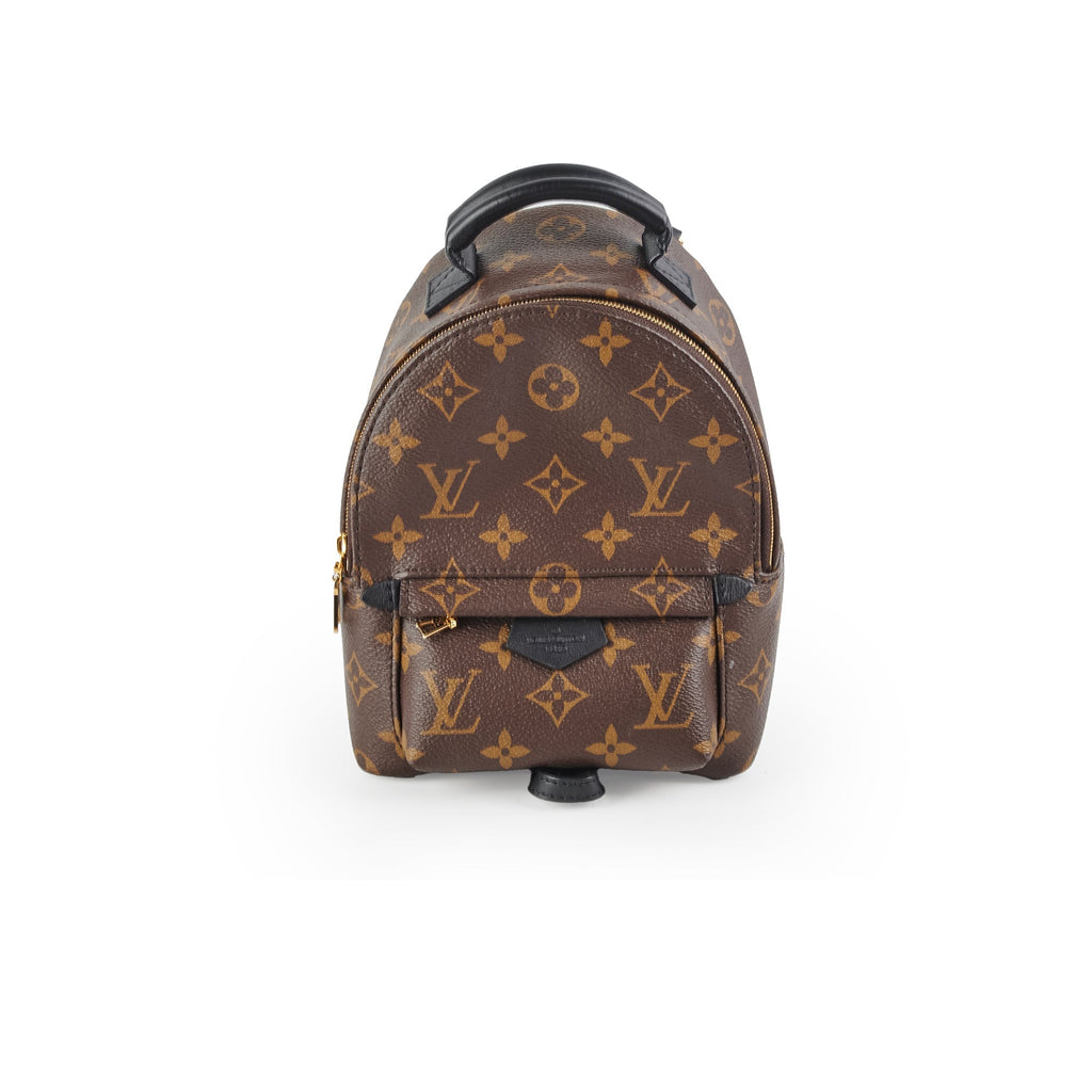 Louis Vuitton Mini Palm Spring Monogram New zippy