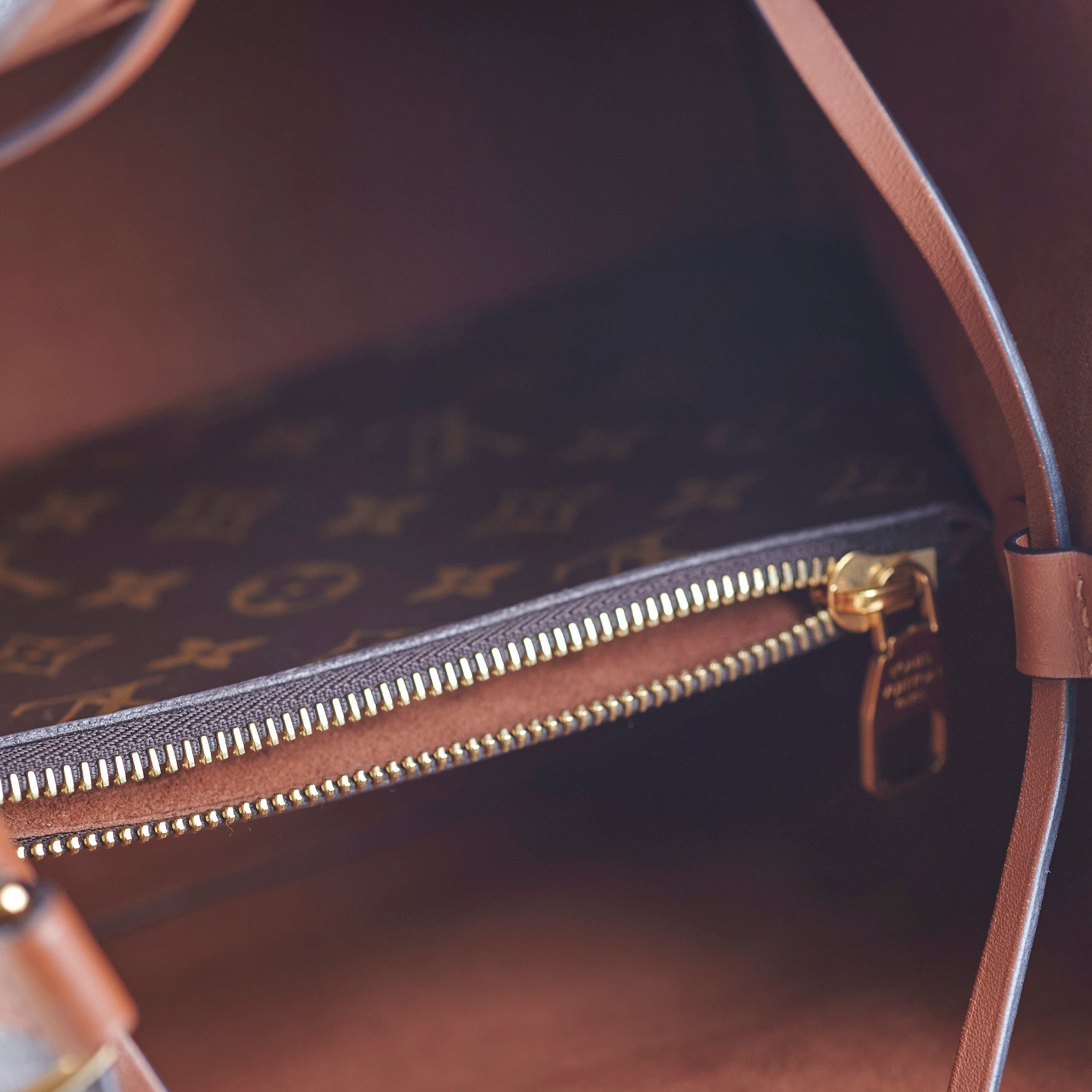 Louis Vuitton Neo Noe Brown Monogram