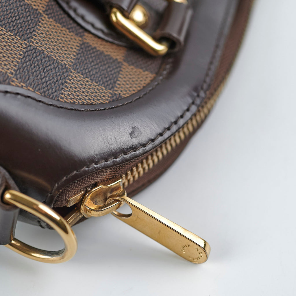 Louis Vuitton Damier Ebene Trevi PM