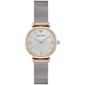 Ladies / Womens Silver Mesh Mother of Pearl Emporio Armani Designer Watch AR2068