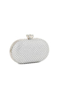 Fancy Clutch B20766-Silver