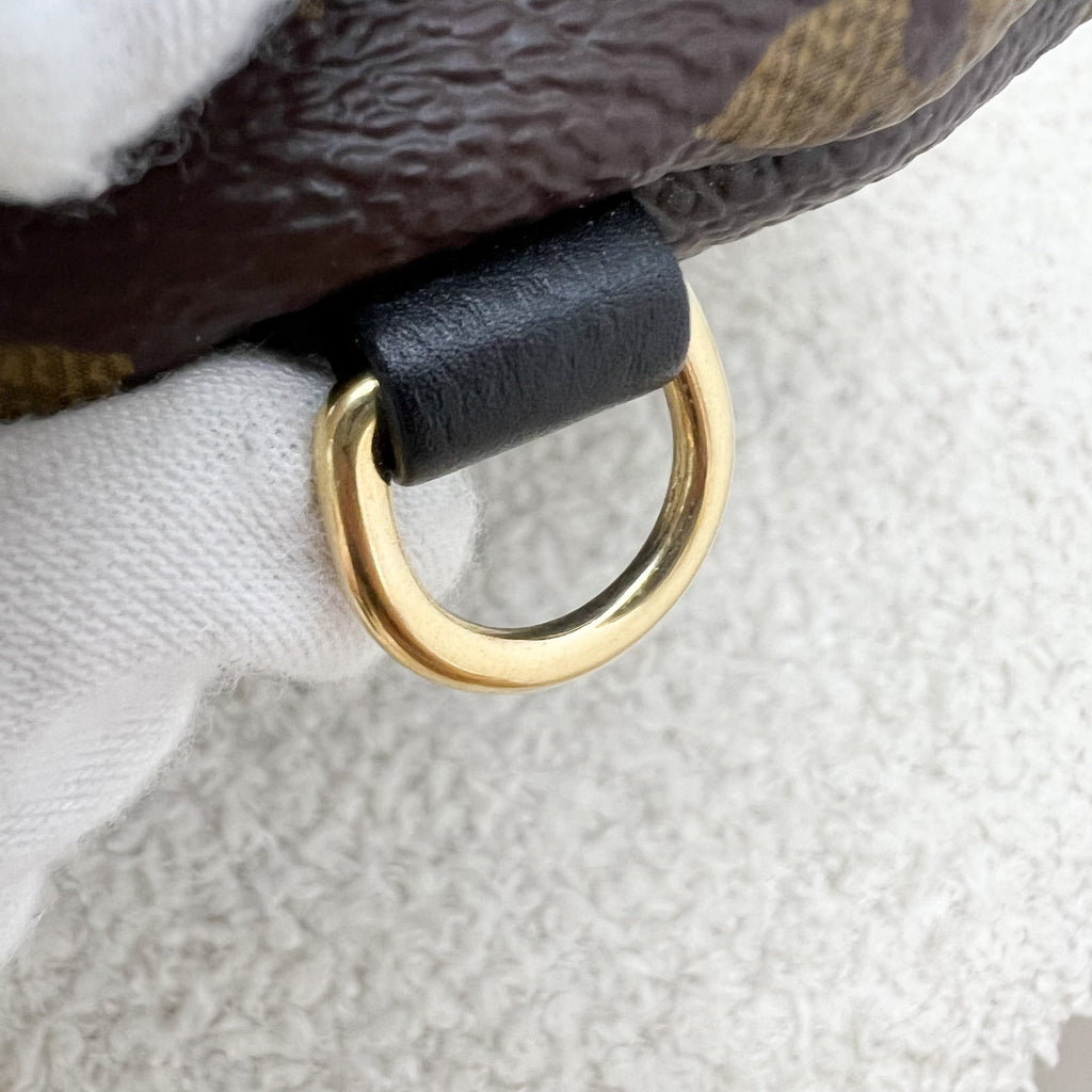 LV Palm Springs Mini Backpack in Monogram Canvas and GHW