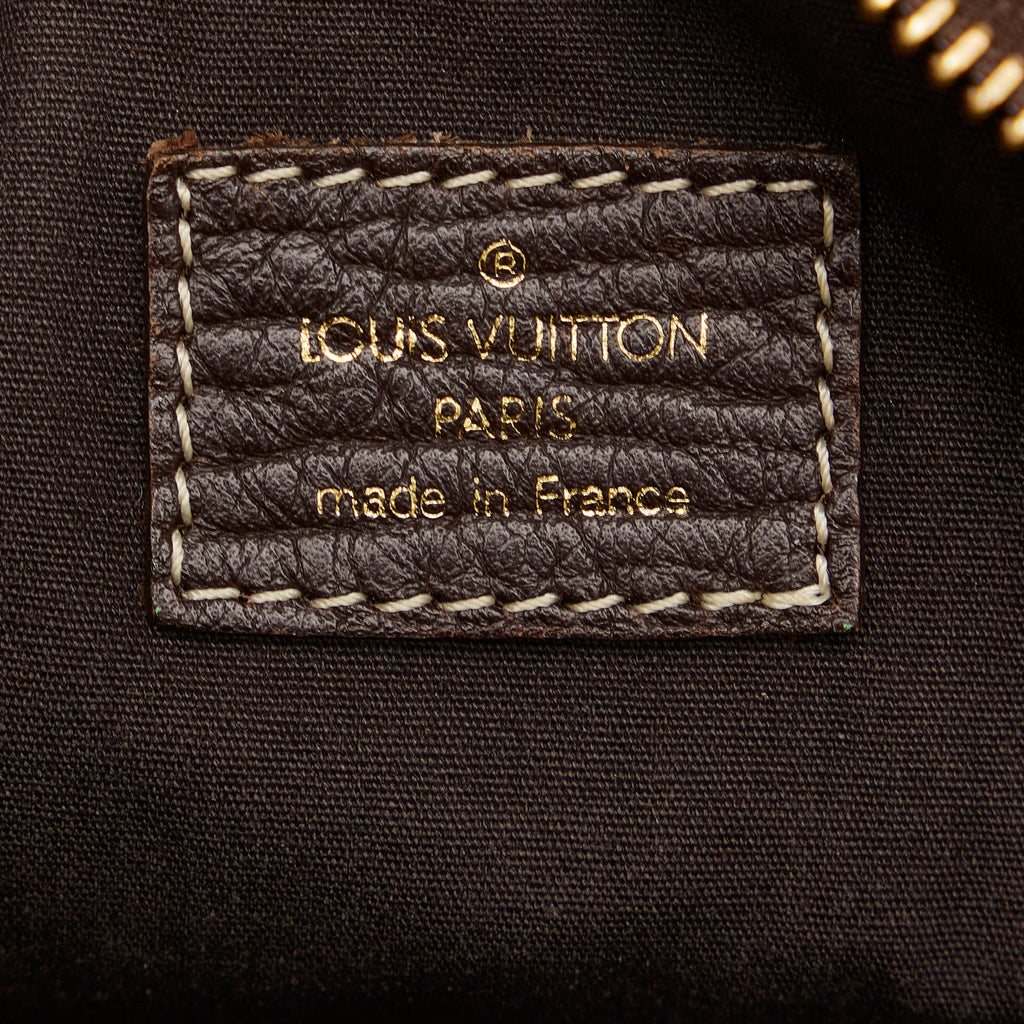 Brown Louis Vuitton Monogram Mini Lin Danube Crossbody Bag