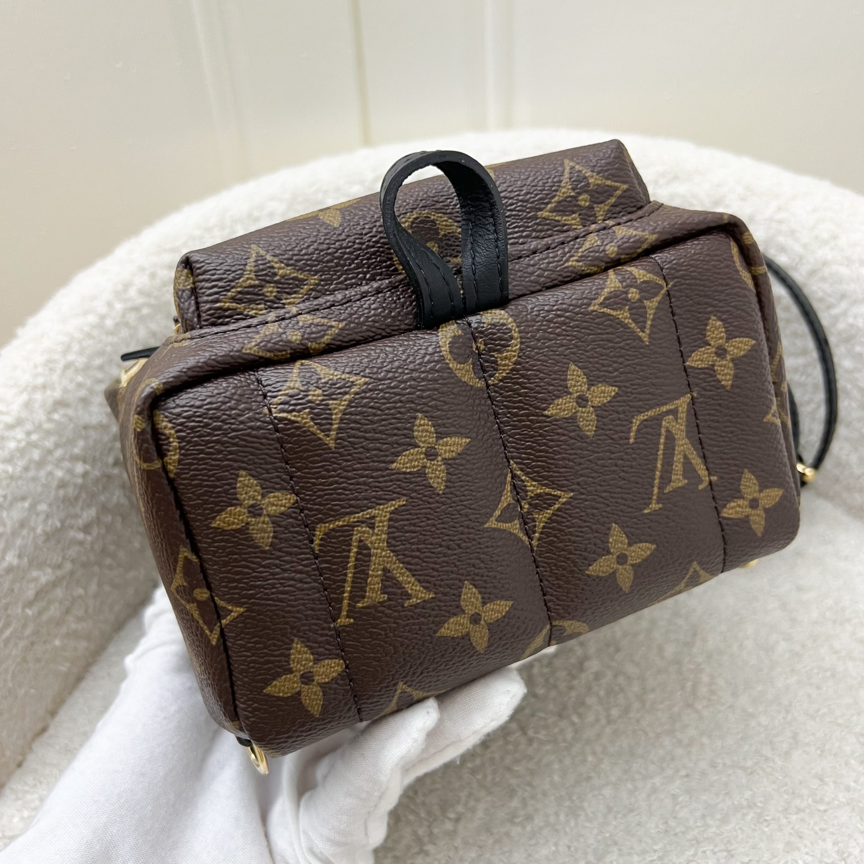 LV Palm Springs Mini Backpack in Monogram Canvas and GHW