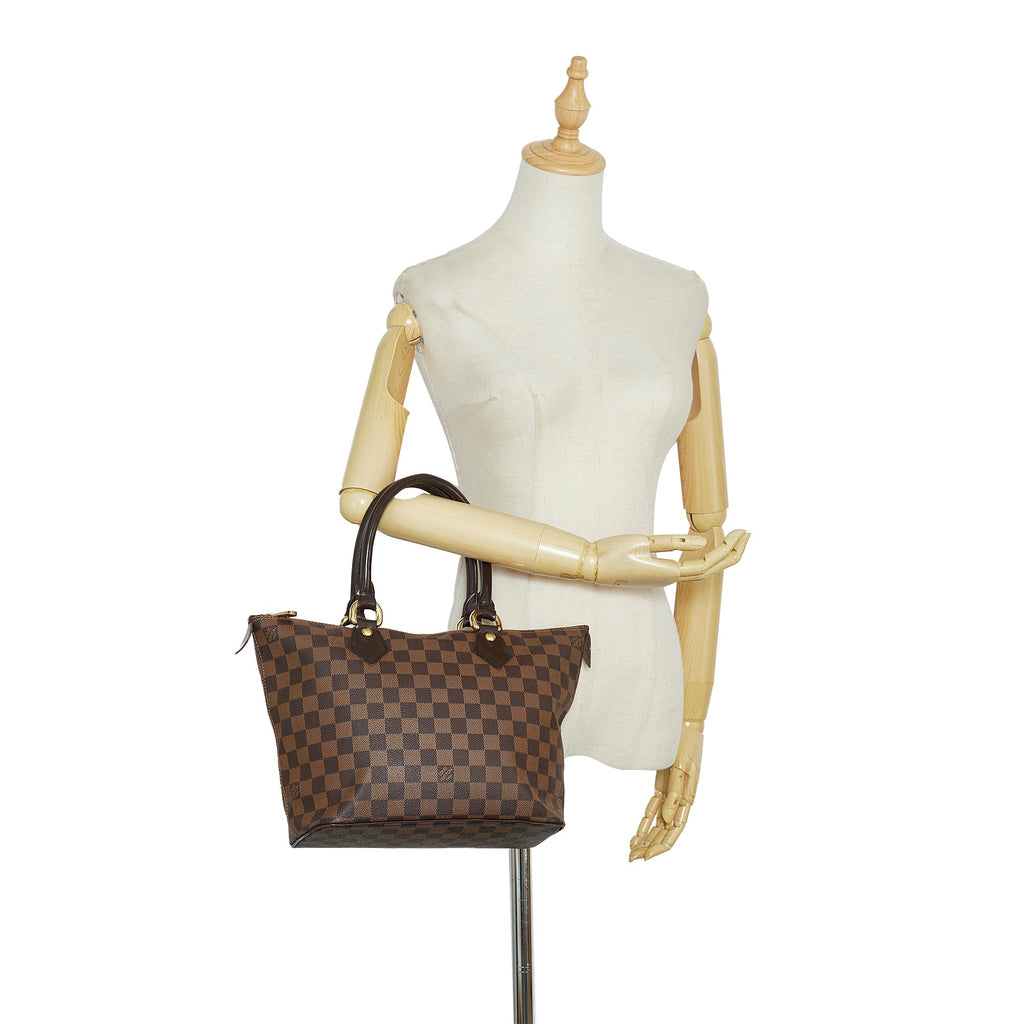 Louis Vuitton Saleya PM Damier Ebene Canvas