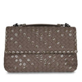 Bottega Veneta Small Olimpia