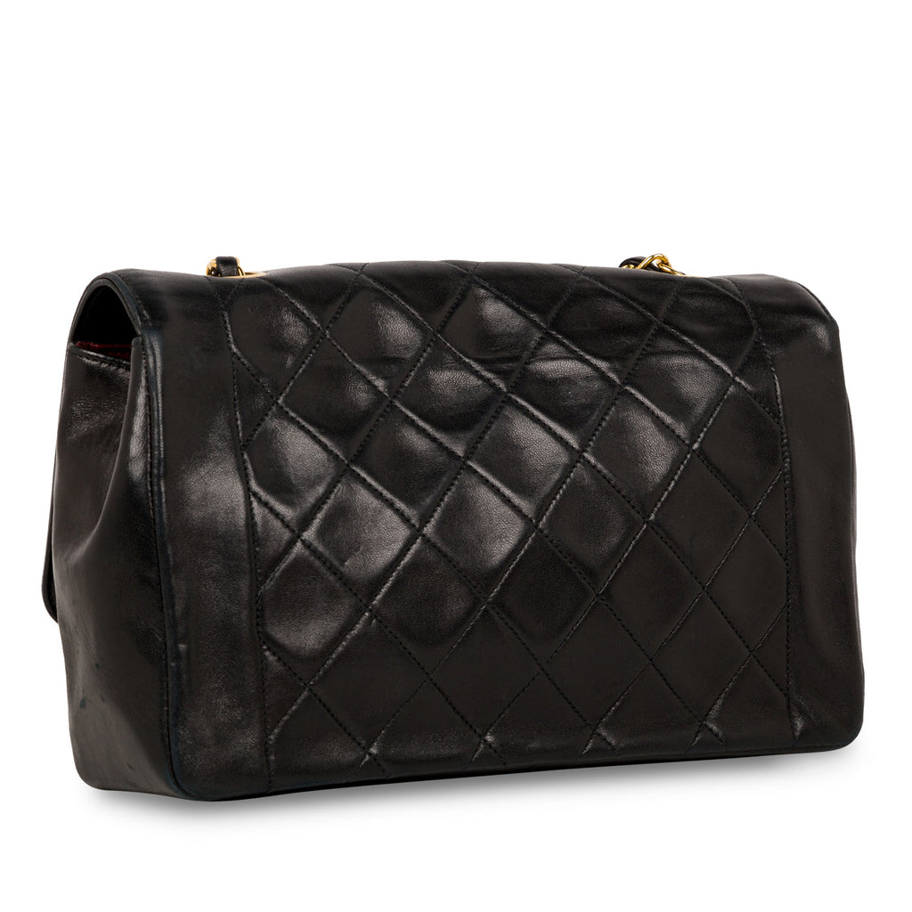 Diana Vintage Flap Bag