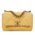 Chanel Chanel 19 Flap Bag - Small