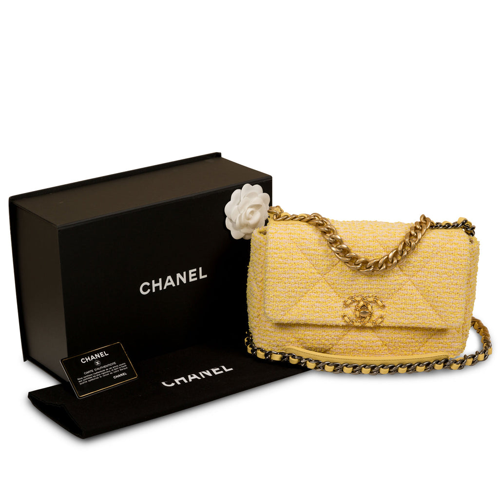 Chanel Chanel 19 Flap Bag - Small