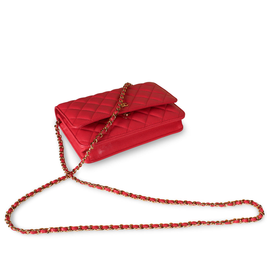 Classic Wallet on Chain - Pink Caviar